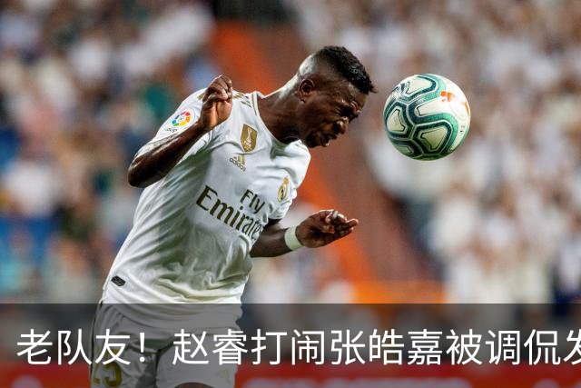 老队友！赵睿"打闹"张皓嘉被调侃发型 布朗陈盈骏崔永熙焦泊乔合照留念