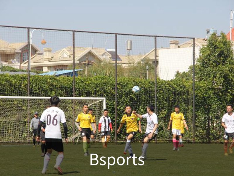Bsports介绍